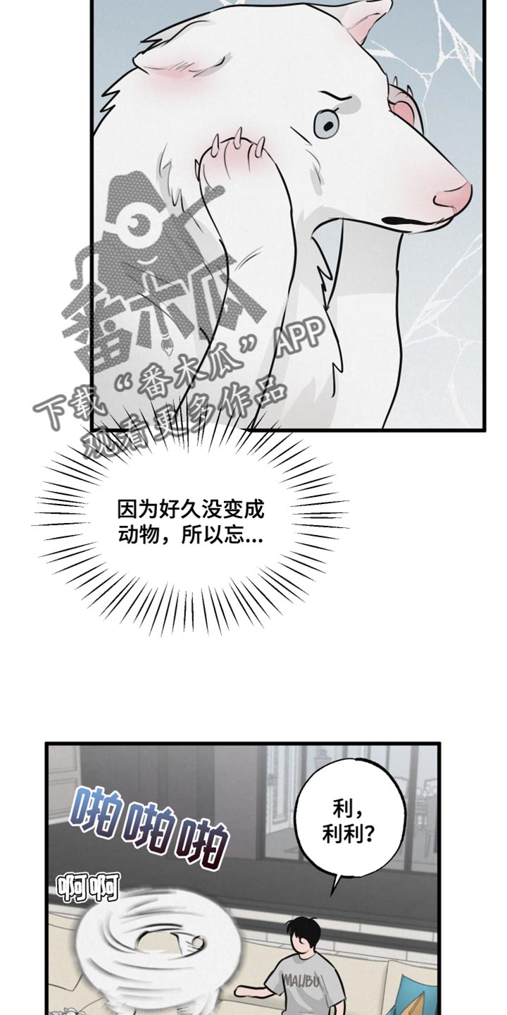 热量狂飙漫画,第15话1图
