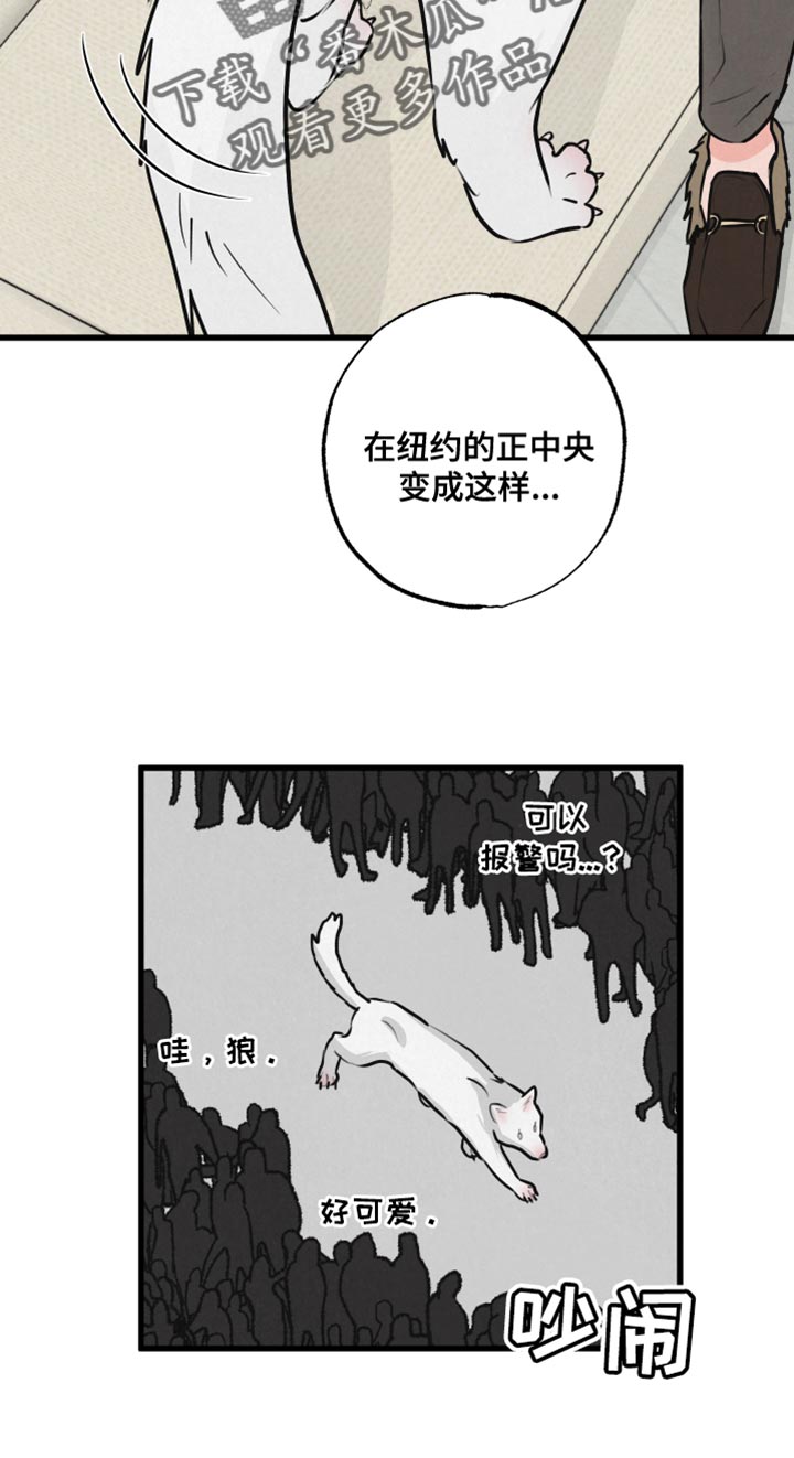 热量狂飙漫画,第15话1图