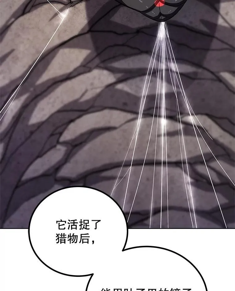 勇士的圣剑升级路线漫画,112.复制体2图
