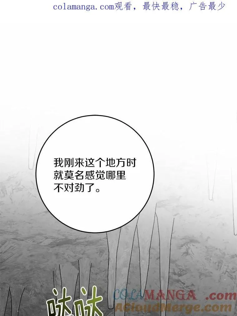 男主让我负责黑历史小说名字漫画,74.艾婕尔的身份1图