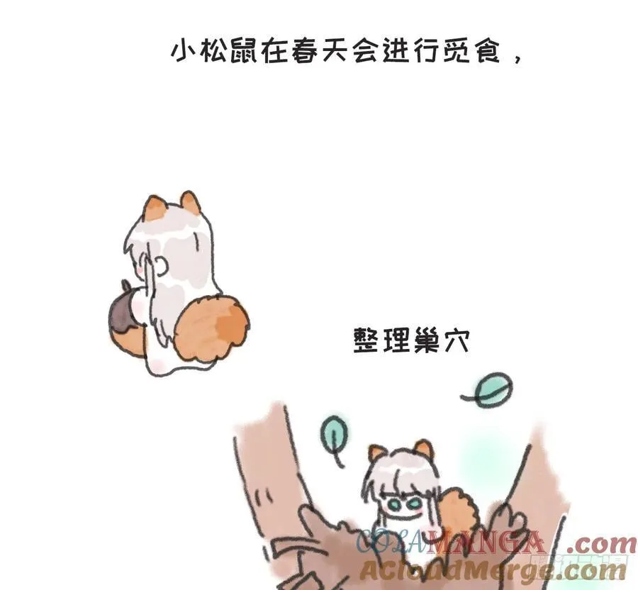 请与我同入眠漫画全集解说漫画,动物世界小番外31图