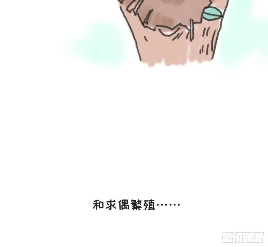 请与我同入眠漫画全集解说漫画,动物世界小番外32图