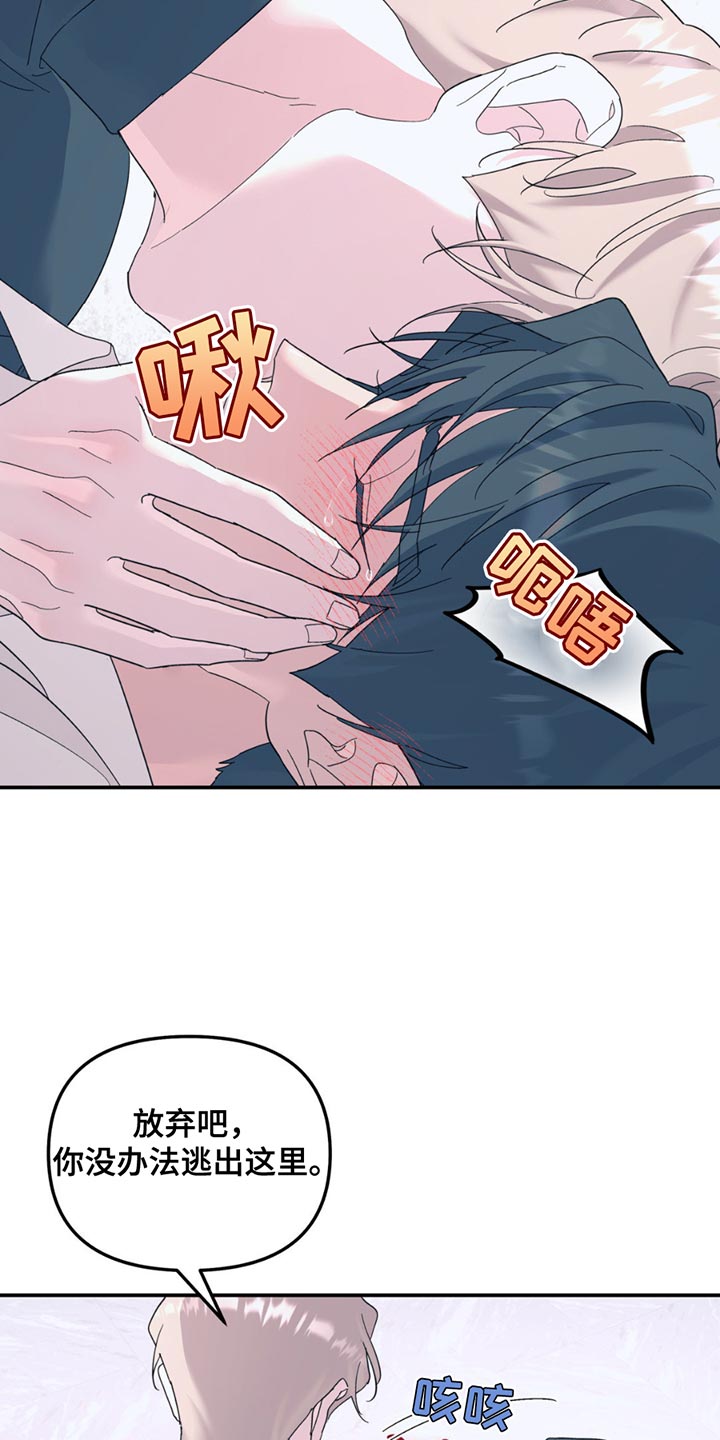 无根之树简历漫画,第114话2图