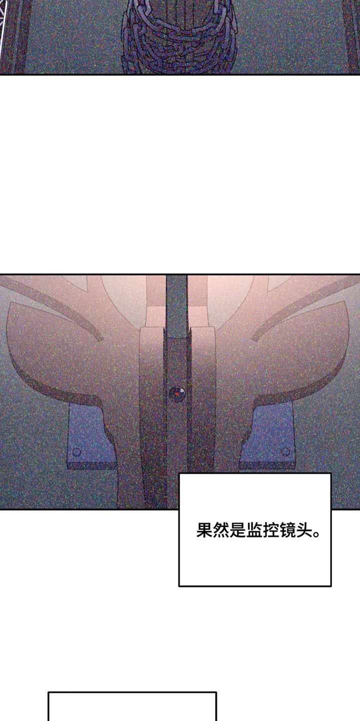 无根之树无删改免费阅读漫画,第148话1图