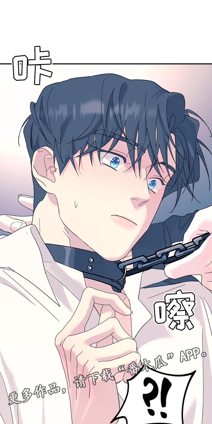无根之树简历漫画,第115话2图