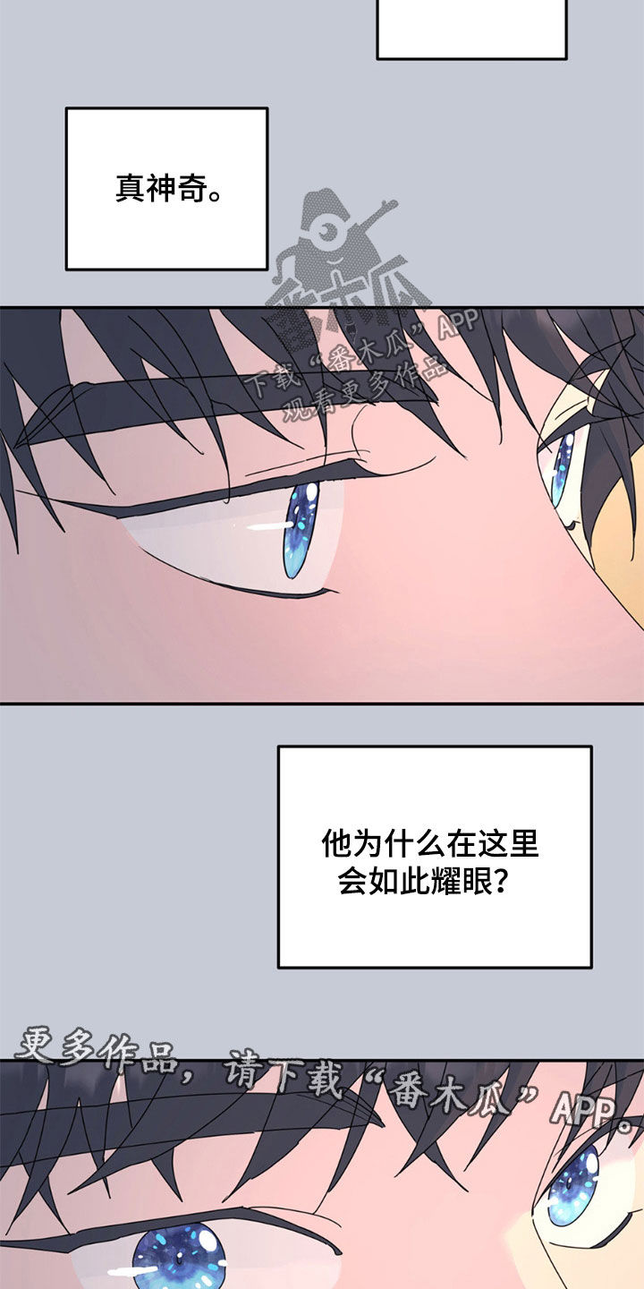 无根之树未增删免费下拉式阅读漫画,第146话1图