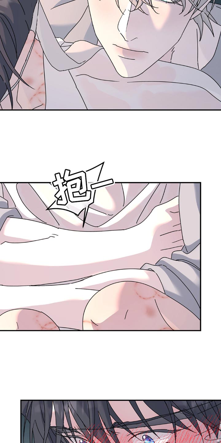 无根之树完整免费看漫画,第165话1图