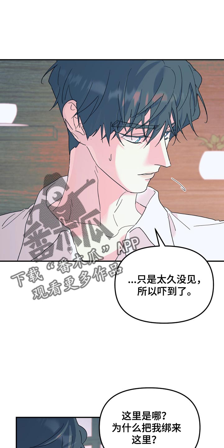 无根之树漫画,第113话1图