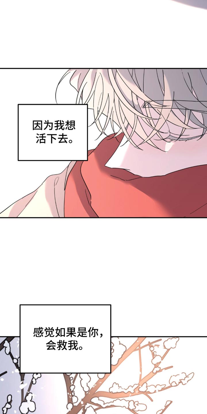 无根之树无源之水什么意思漫画,第104话2图