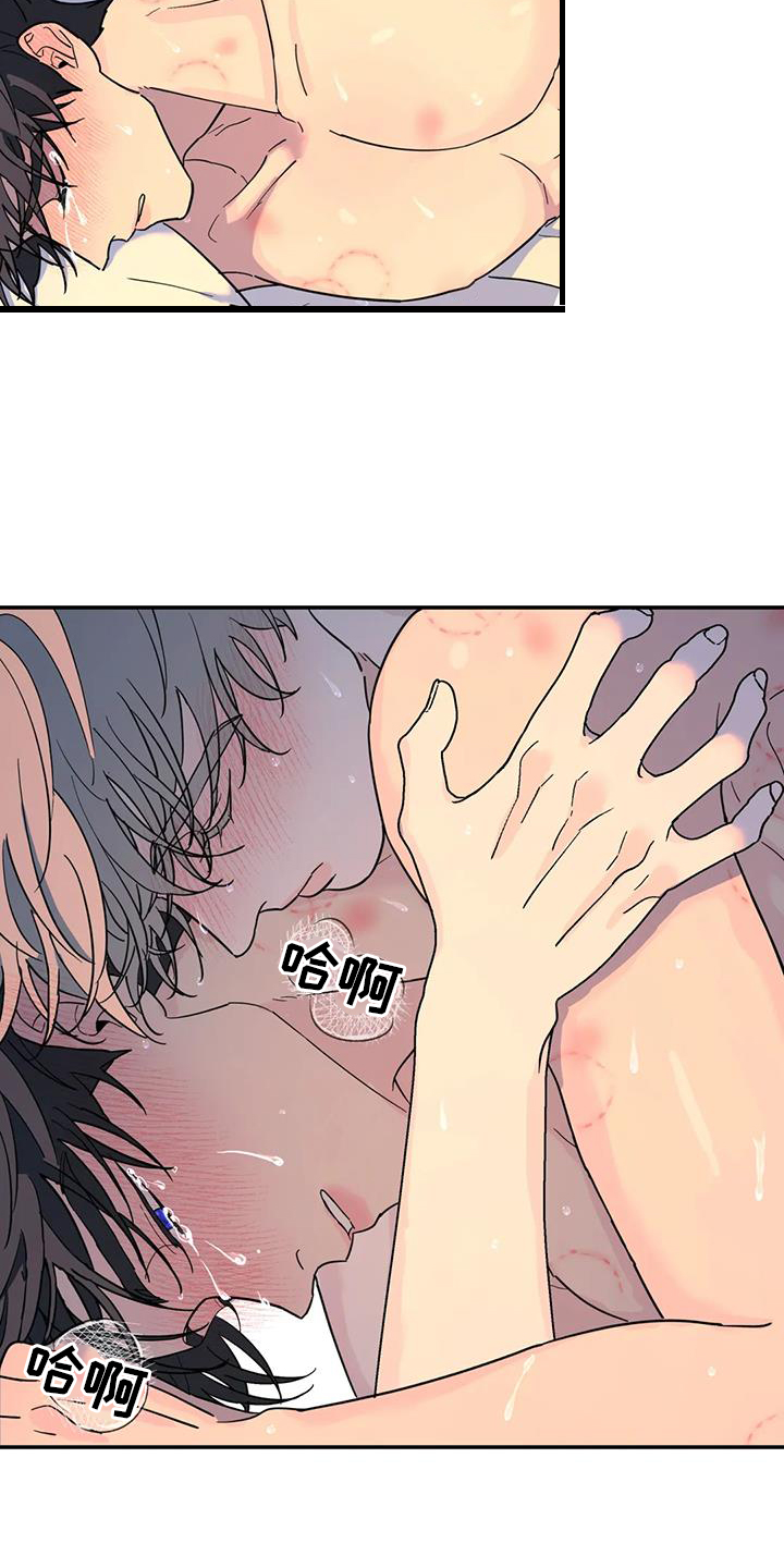 无根之树简历漫画,第63话1图