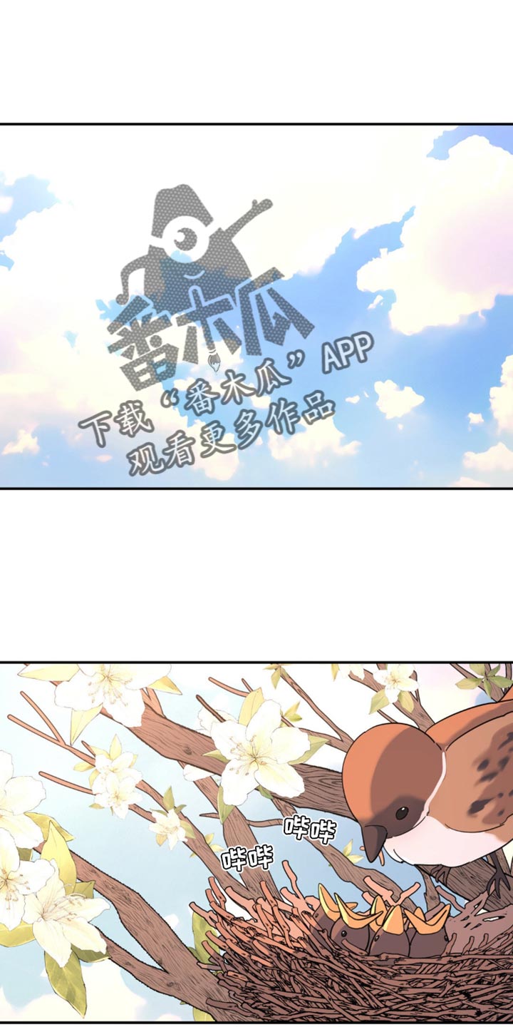 无根之树简历漫画,第101话1图