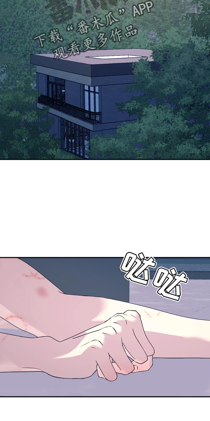 无根之树简历漫画,第120话2图