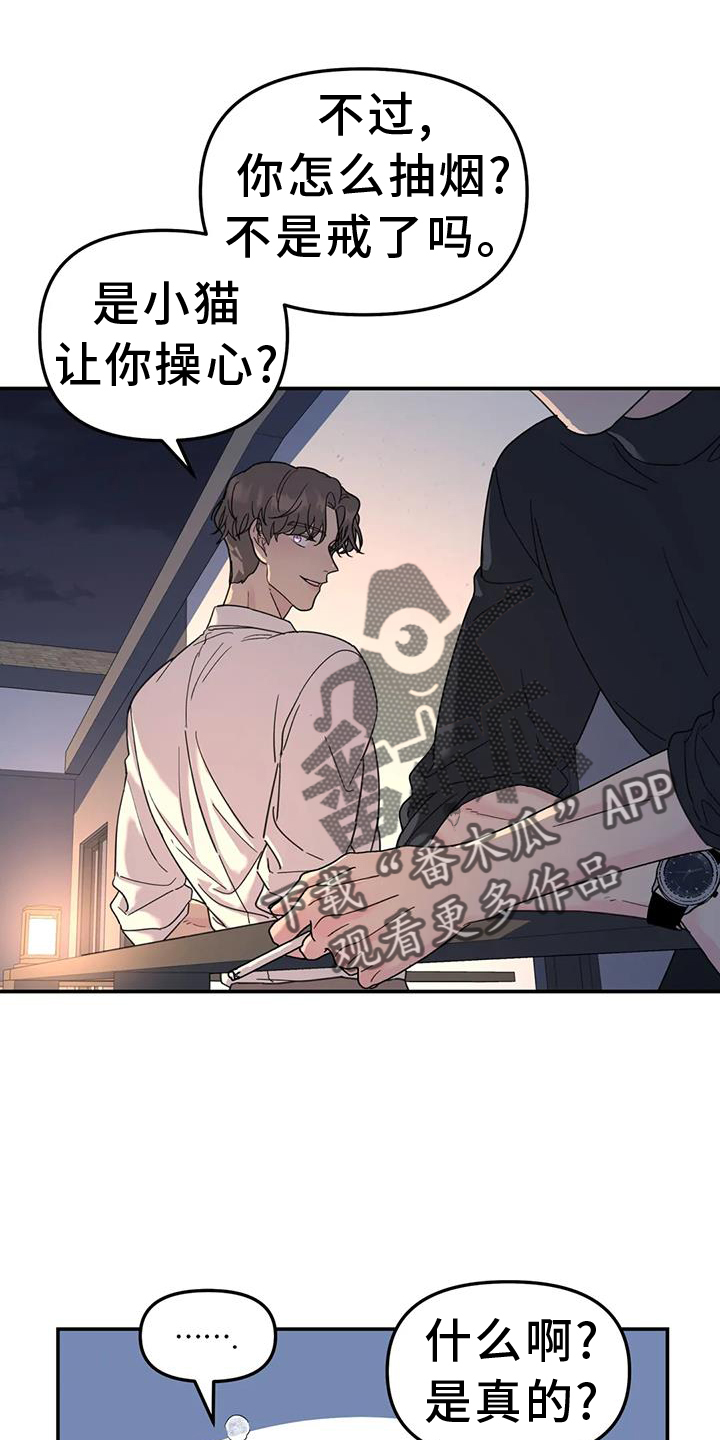 无根之树简历漫画,第71话2图