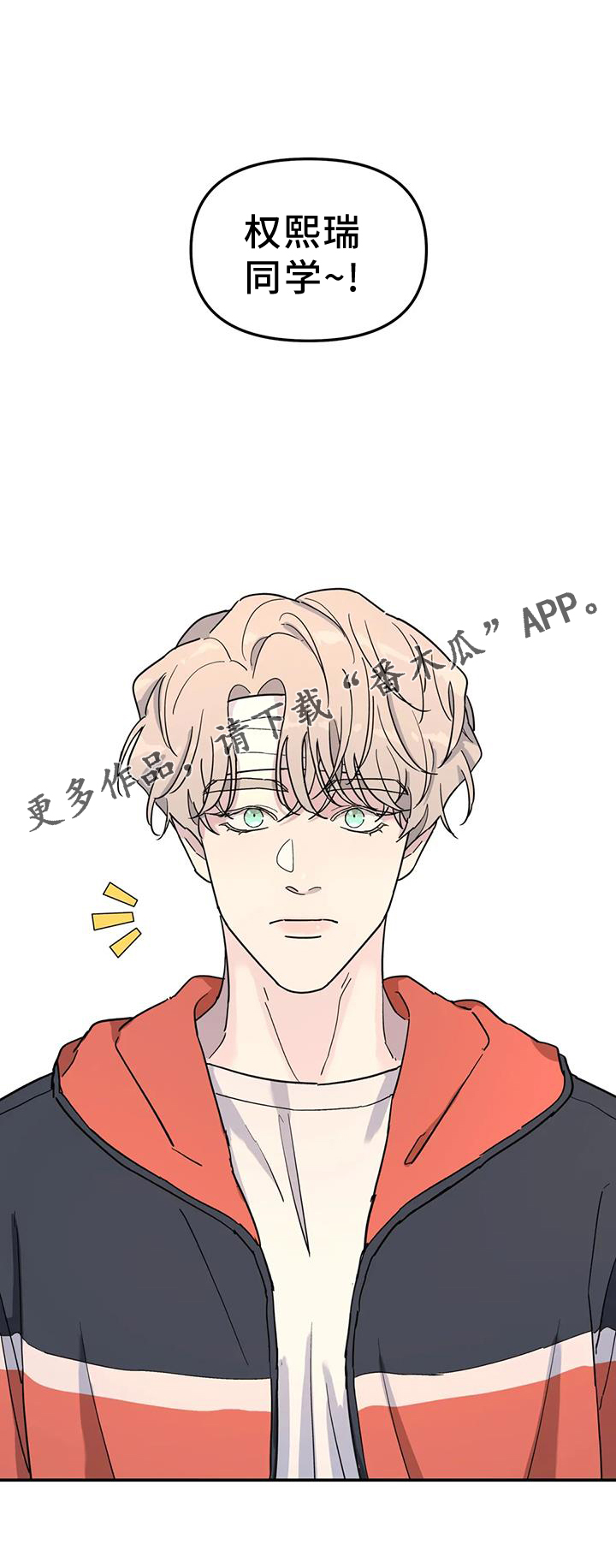 无根之树简历漫画,第65话1图