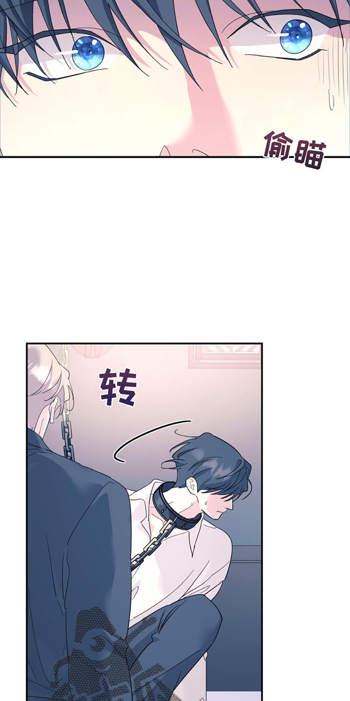 无根之树漫画全集免费观看漫画,第117话1图