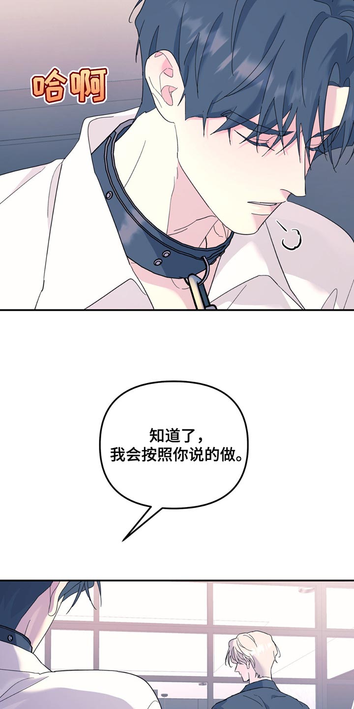 无根之树漫画下拉式漫画漫画,第116话1图