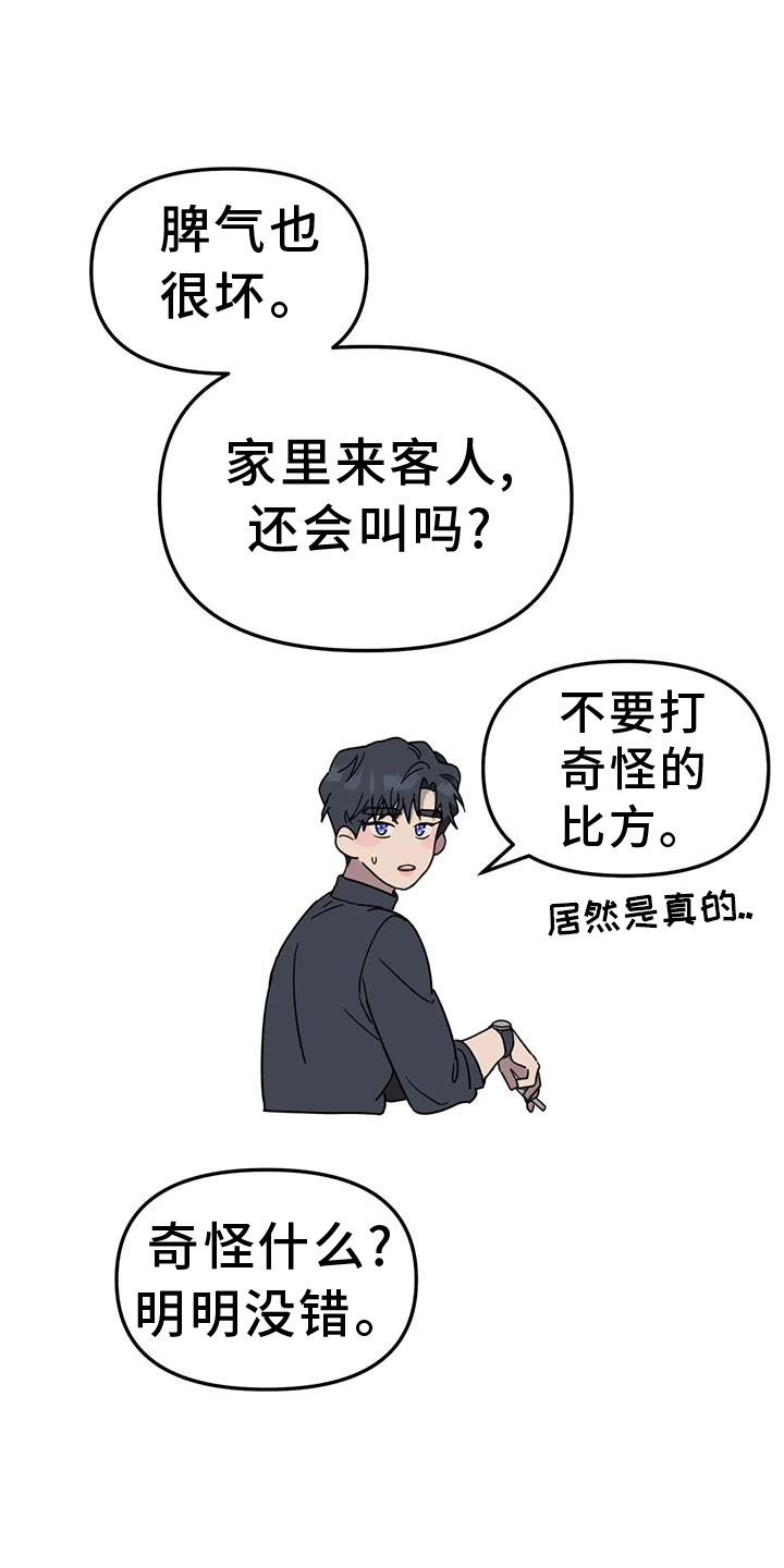 无根之树简历漫画,第71话1图