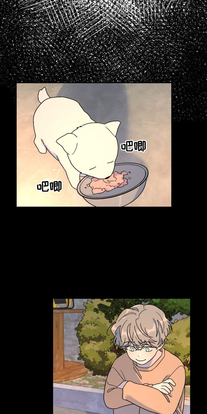 无根之树简历漫画,第77话1图