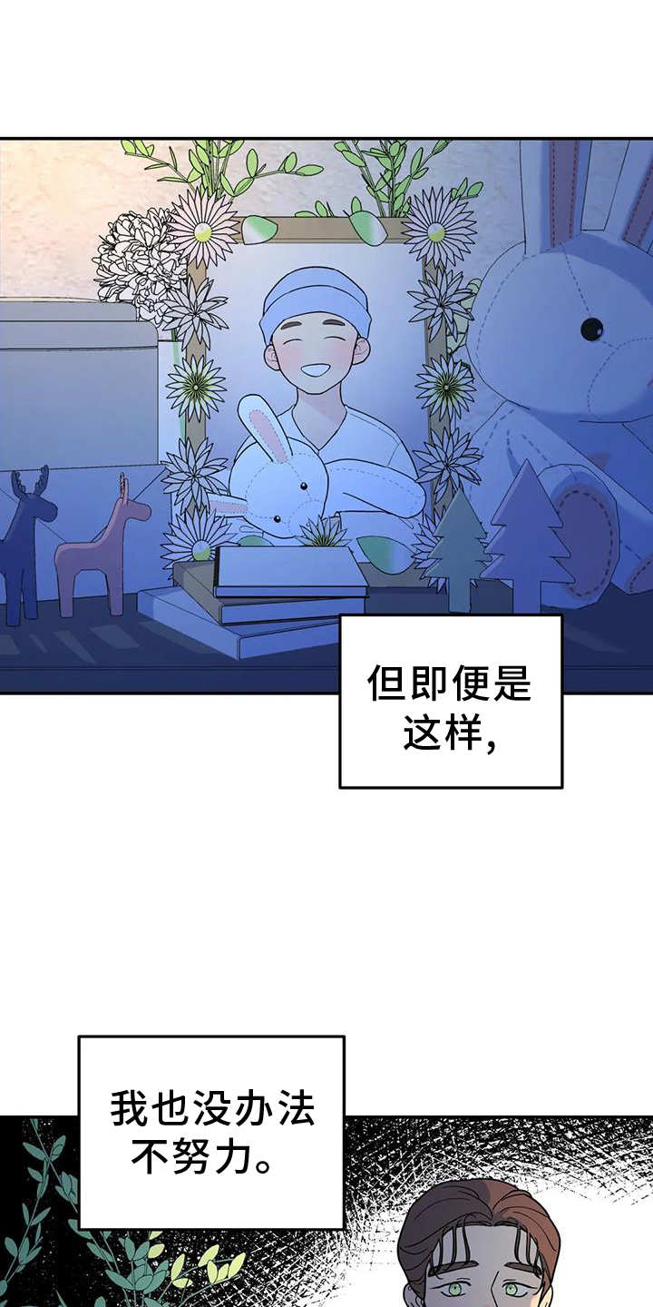 无根之树无删改免费观看在哪里漫画,第74话1图