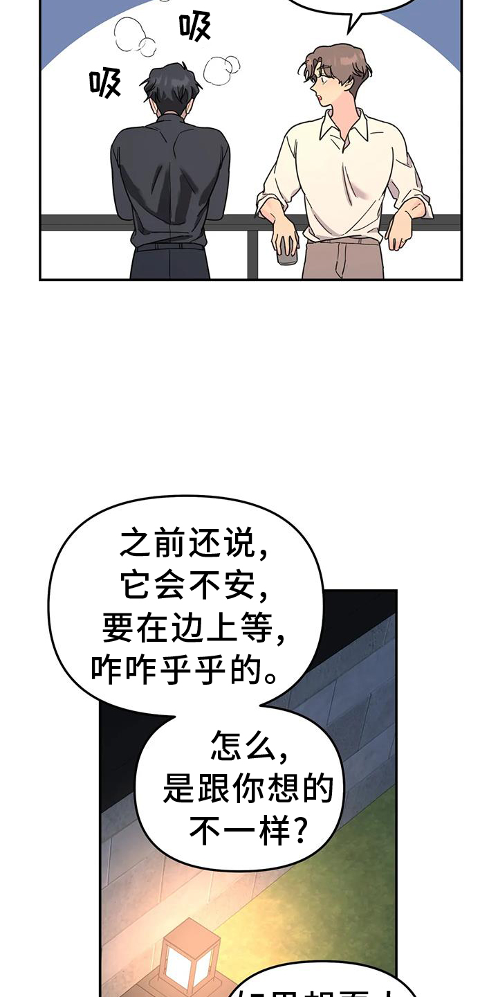 无根之树简历漫画,第71话1图