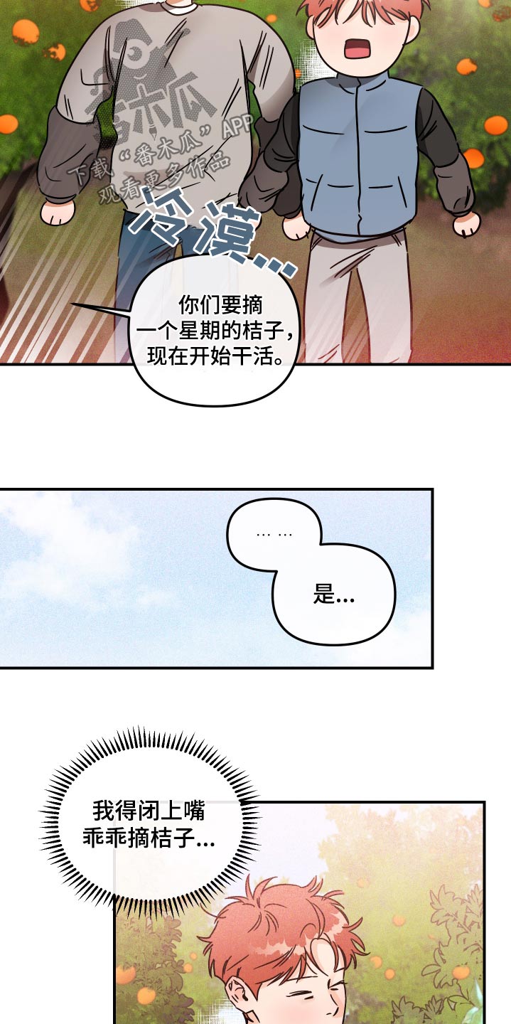 绝对理想型漫画,第66话2图