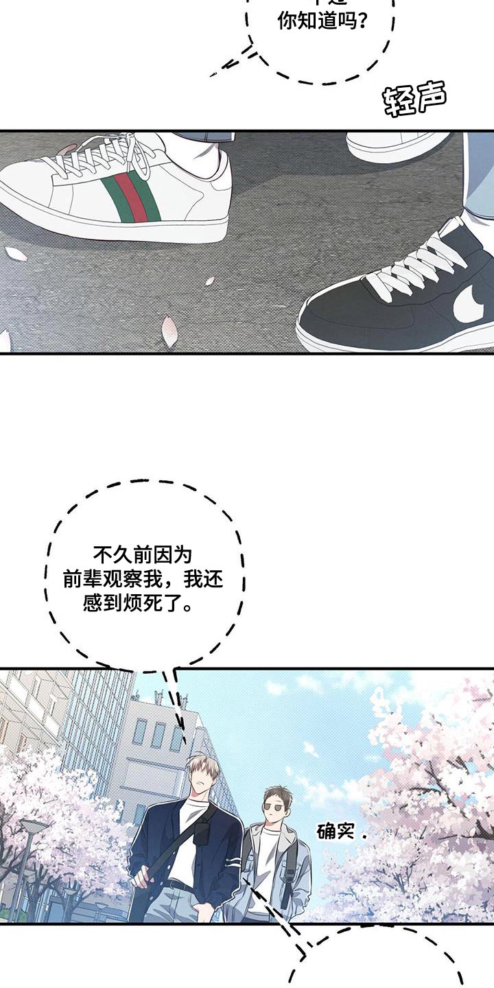 强行分离免费观看漫画,第29话1图