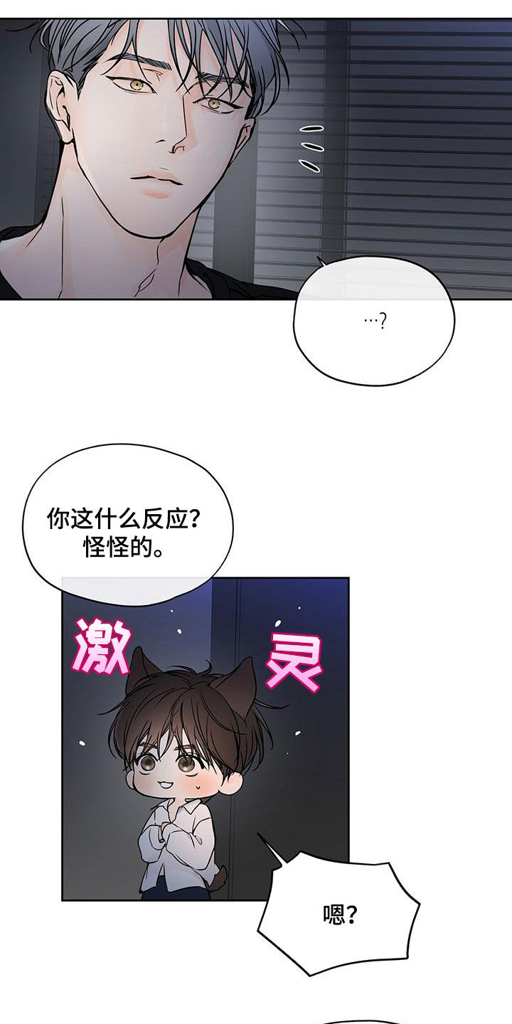 平行四边形有几条高漫画,第20话2图