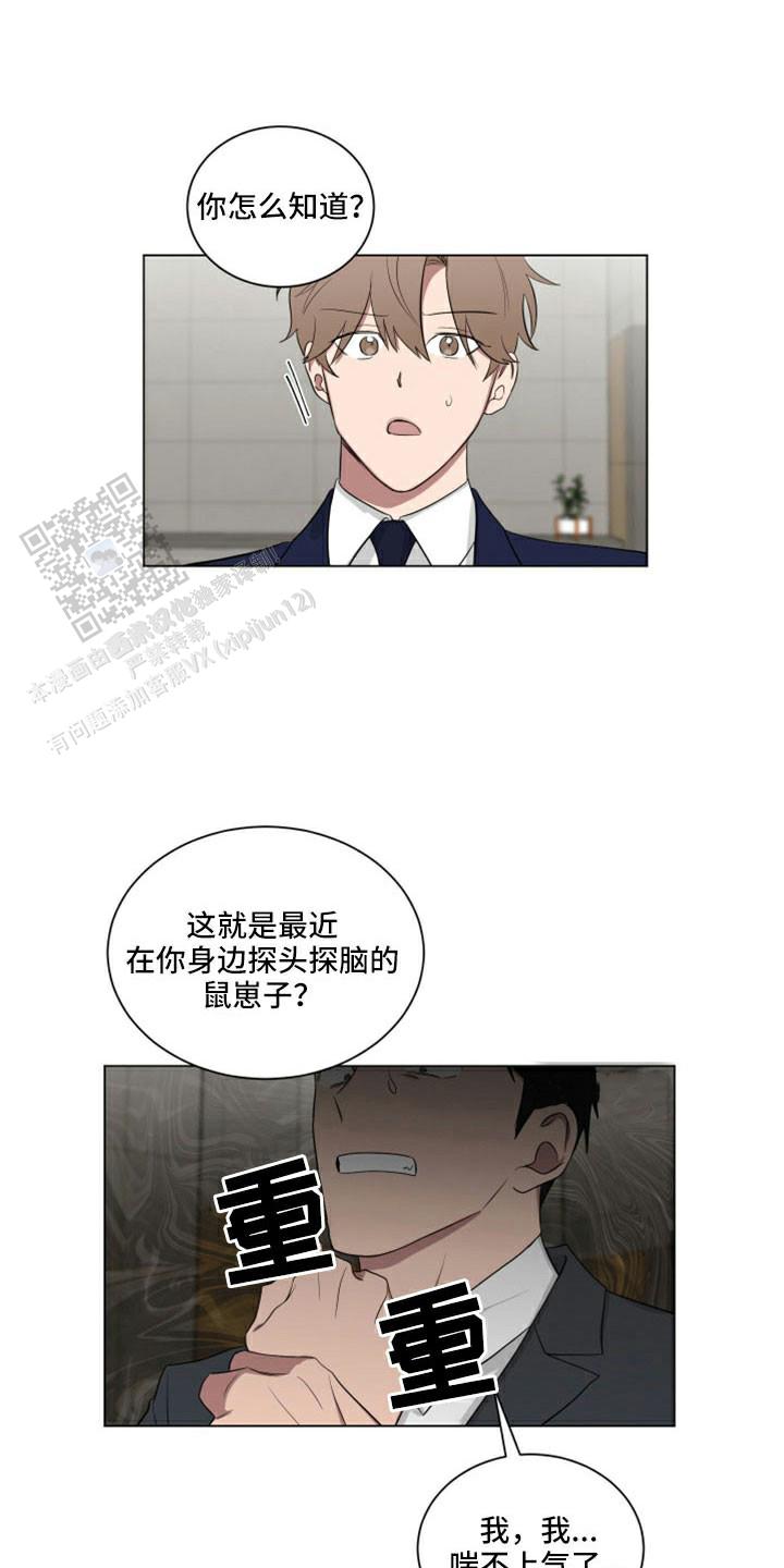 如果和黑帮老大恋爱的话漫画免费阅读漫画,第46话1图