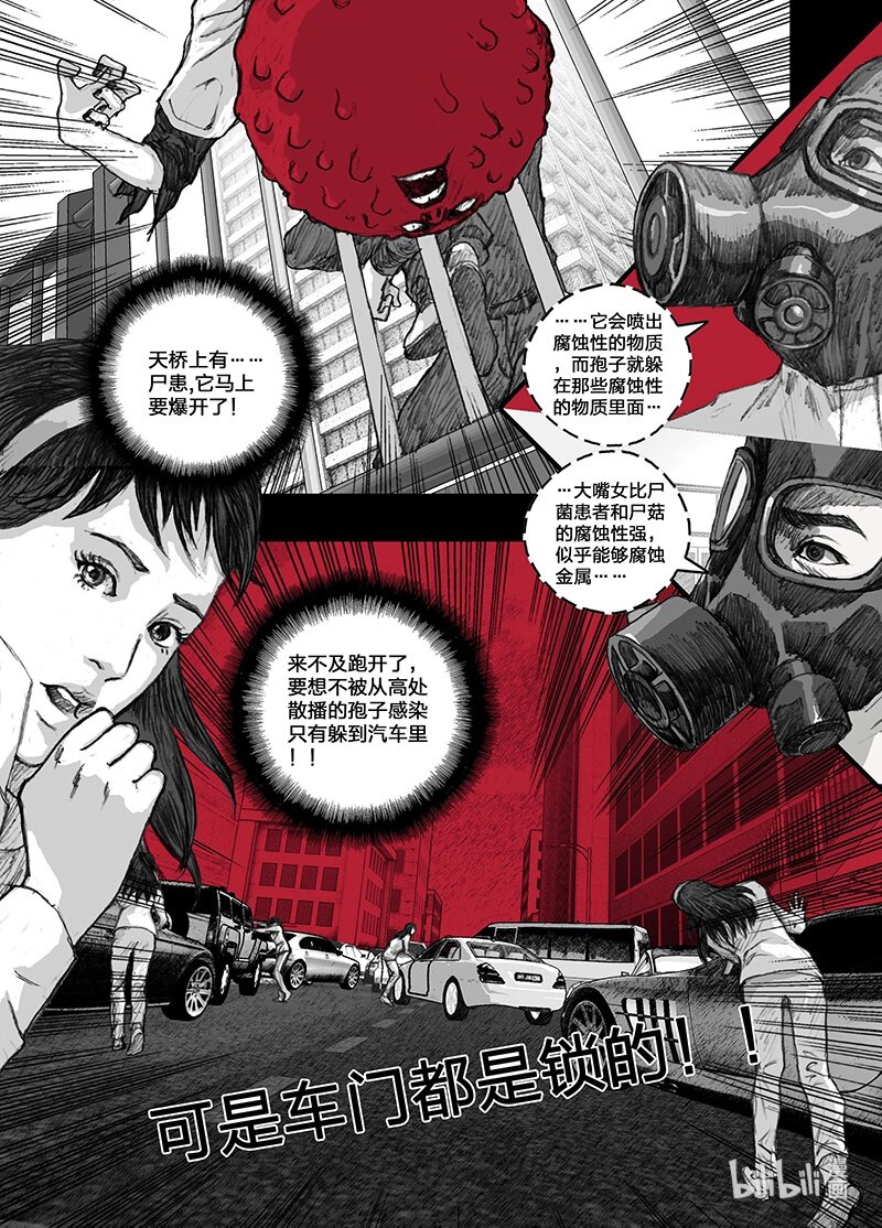 末日孢子解说漫画,5 005前途1图