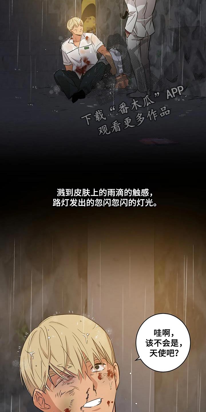 死亡回旋txt漫画,第31话1图