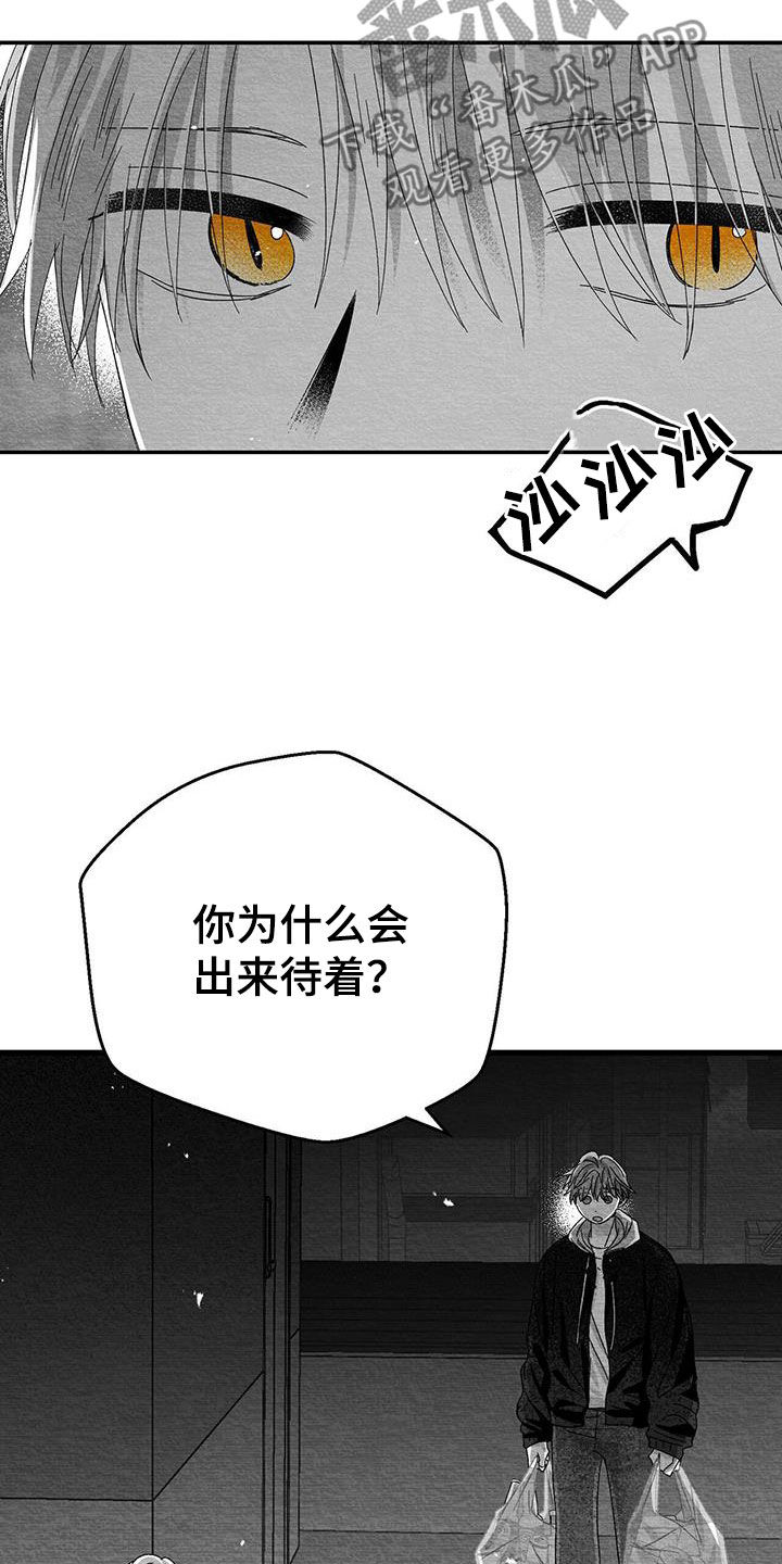 白鳞鱼批发价格漫画,第26话2图