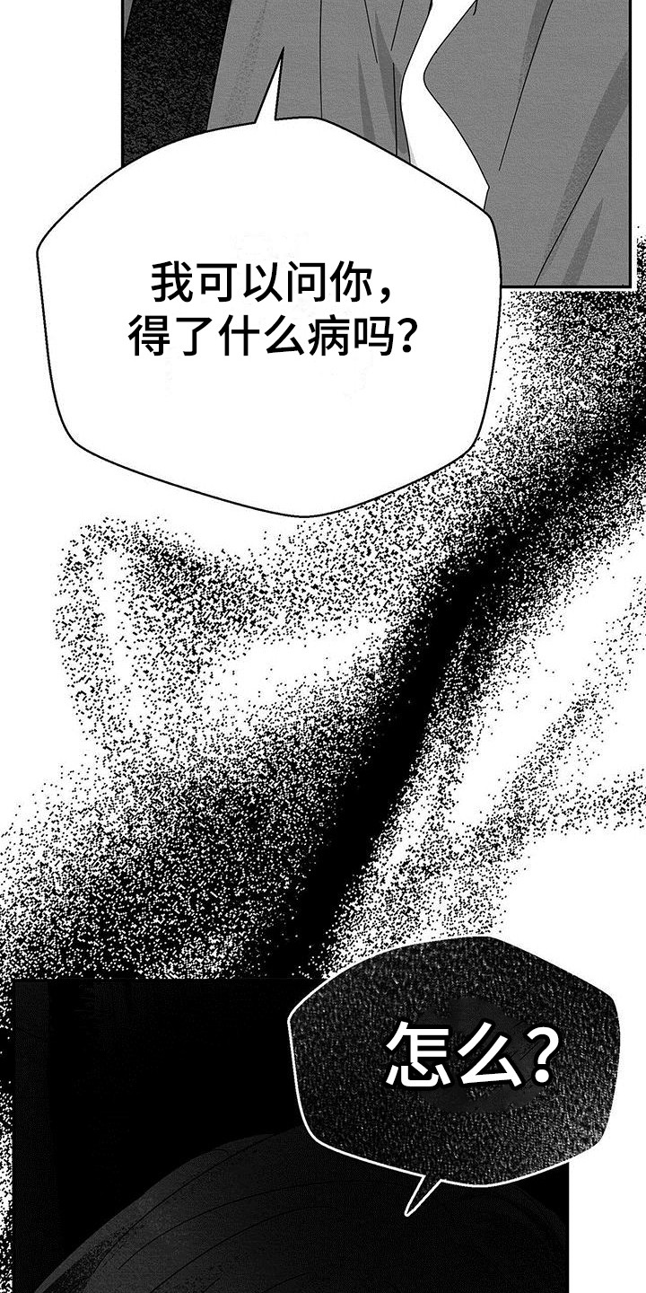 白鳞铁树的养殖方法漫画,第4话2图