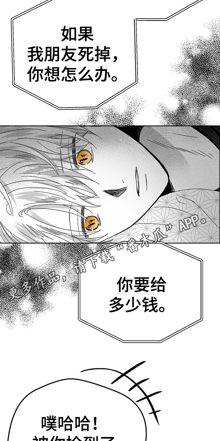 白鳞鲑鱼哪里钓漫画,第7话1图