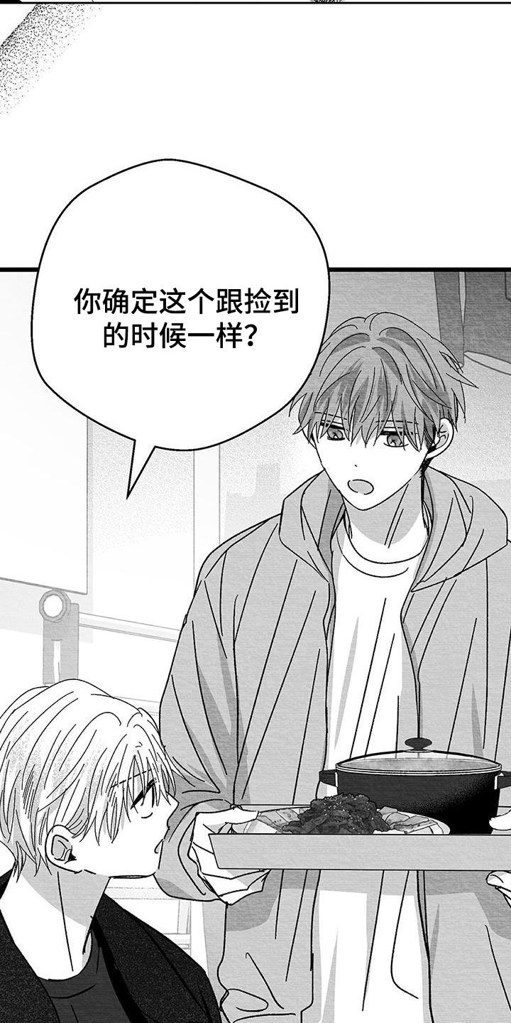 白鳞鱼怎么做好吃视频漫画,第28话2图