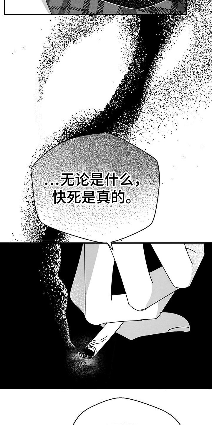 白鳞铁树的养殖方法漫画,第4话2图