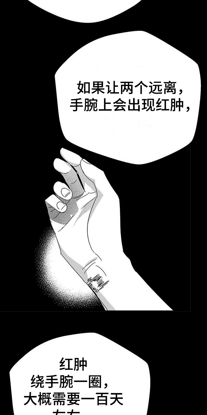 白鳞鱼价格多少一斤漫画,第19话1图