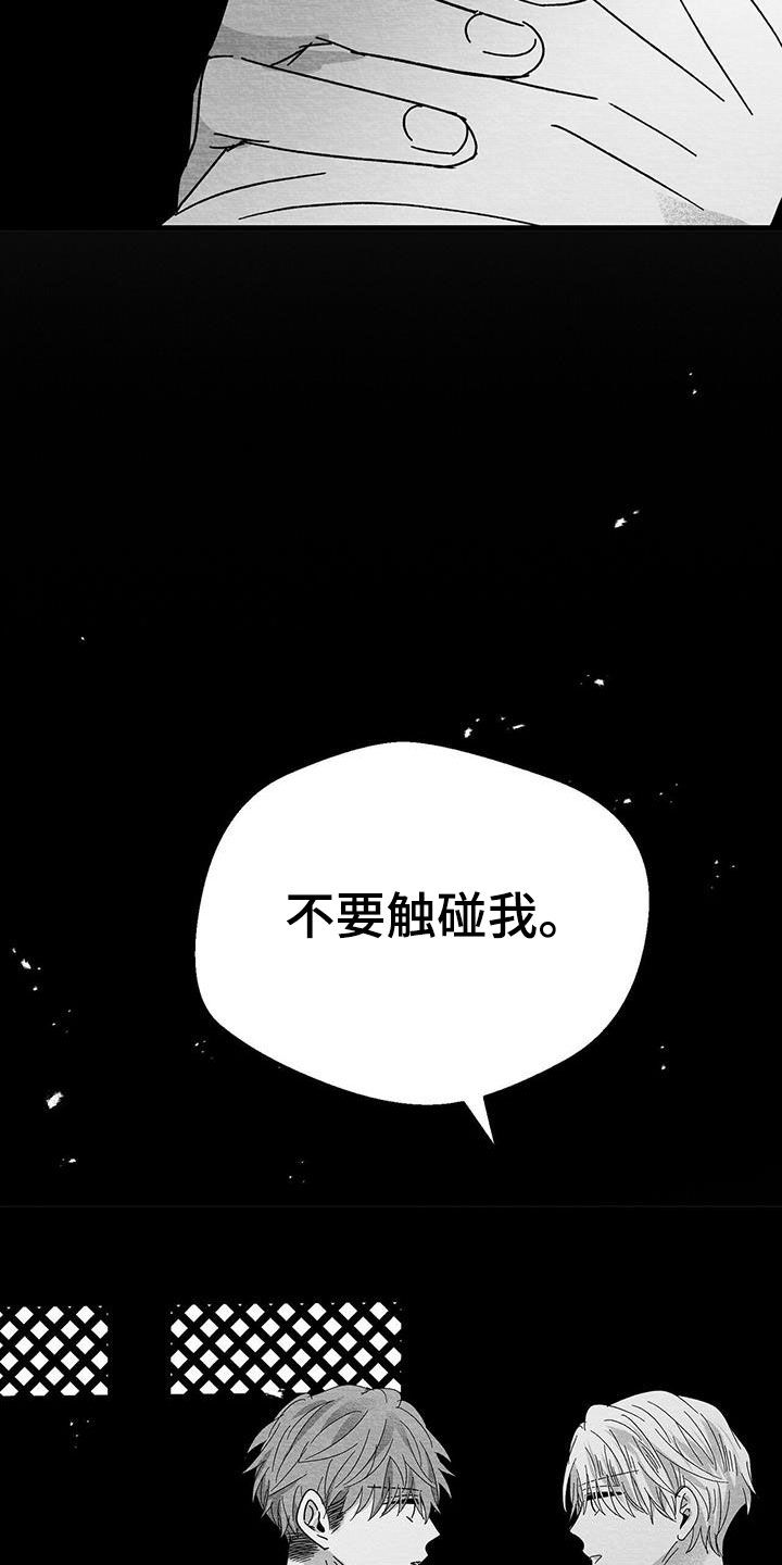 白鳞鱼海水还是淡水漫画,第20话1图