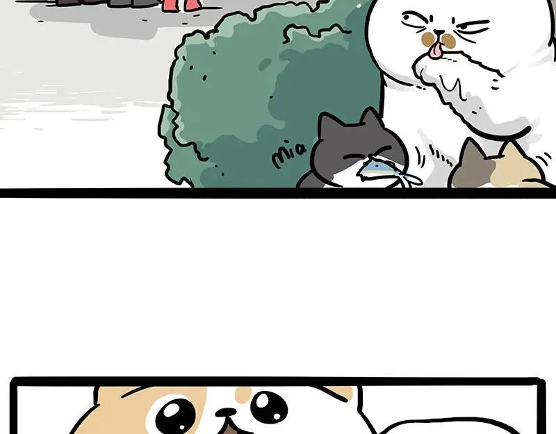 吾皇巴扎黑漫画,第453话 解冻2图