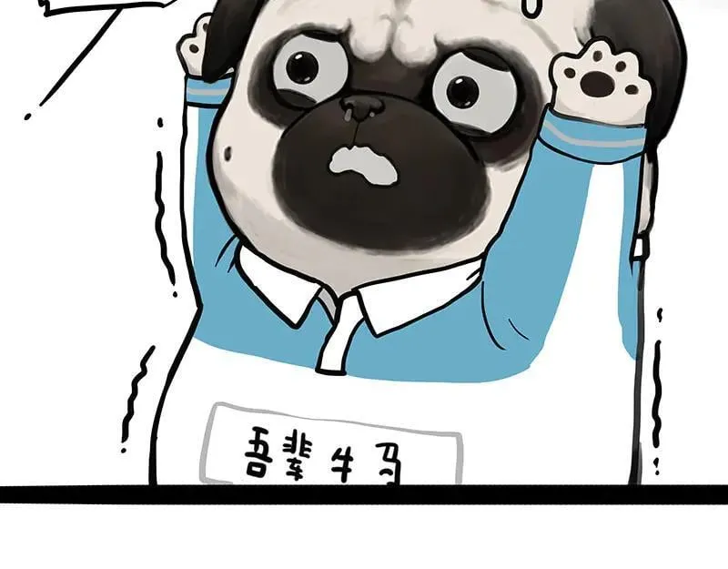 吾皇巴扎黑漫画,第454话 “打劫”2图