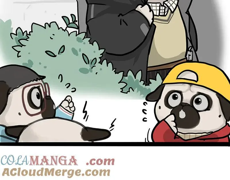 吾皇巴扎黑漫画,第457话 特别的“烟花”1图