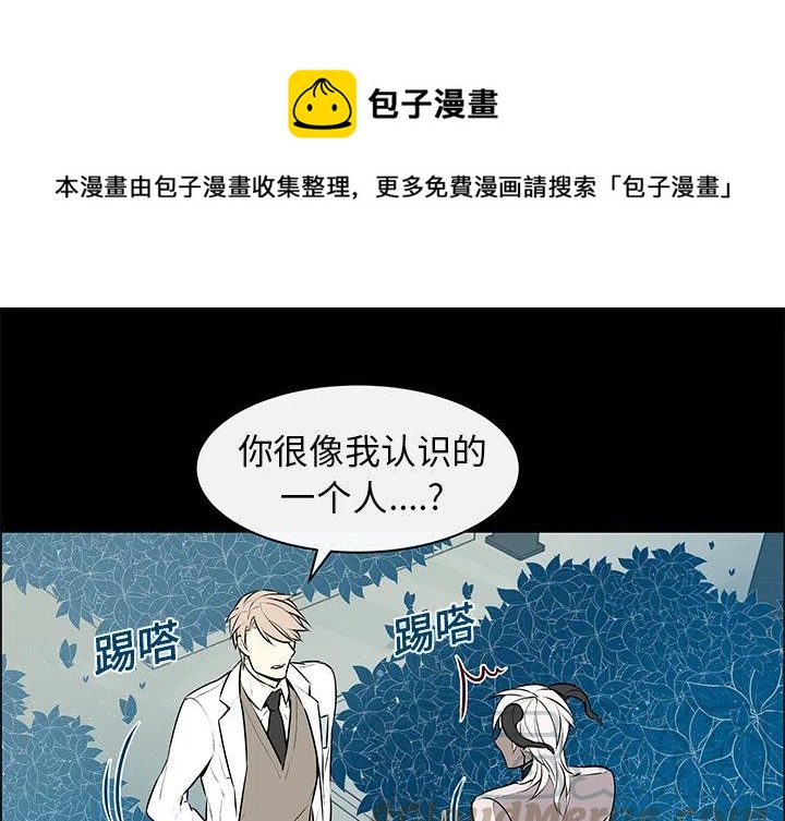 Settia漫画,51图