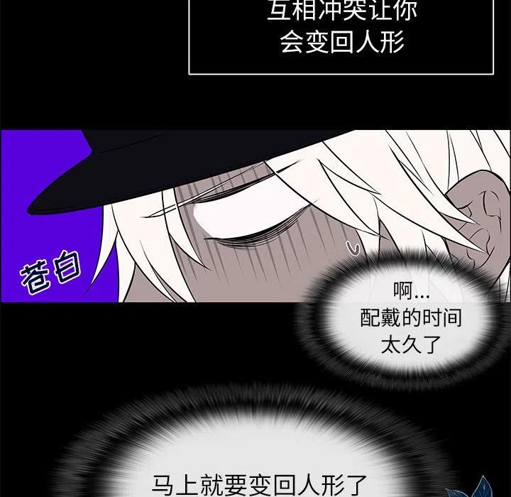 set添加元素漫画,101图