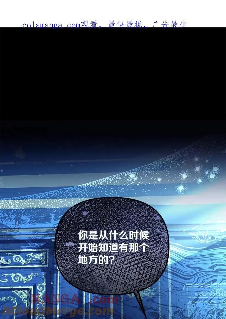 为何执着于假妻子？漫画,52.并非亲生1图