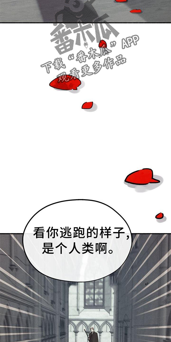 归还中国文物的国家漫画,第38话1图