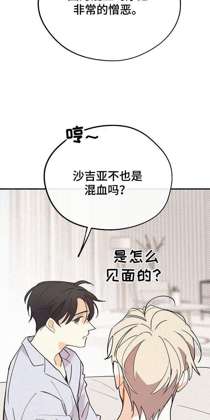 归还中国文物的国家有哪些漫画,第46话2图