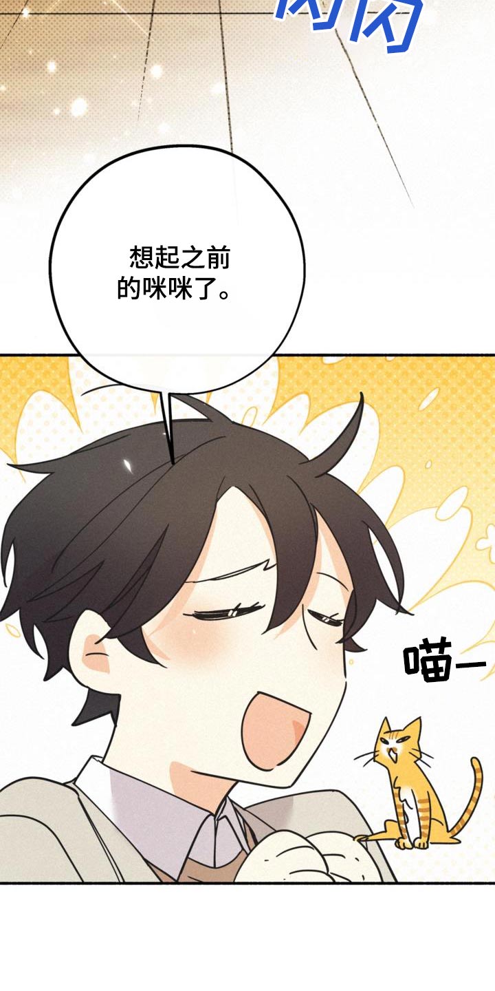 归还世界给你免费观看全集漫画,第81话2图