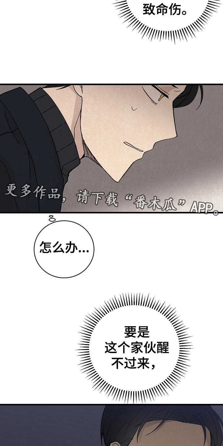 黎明前夕漫画,第10话2图