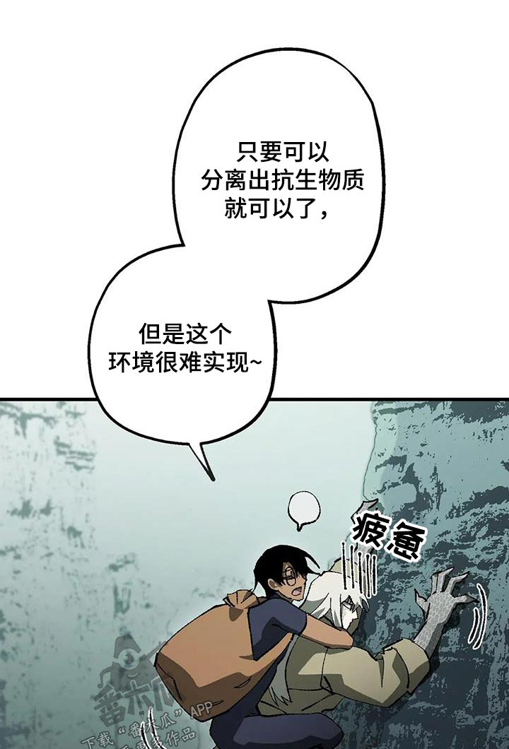 皮囊之下是饥饿的灵魂漫画,第40话1图