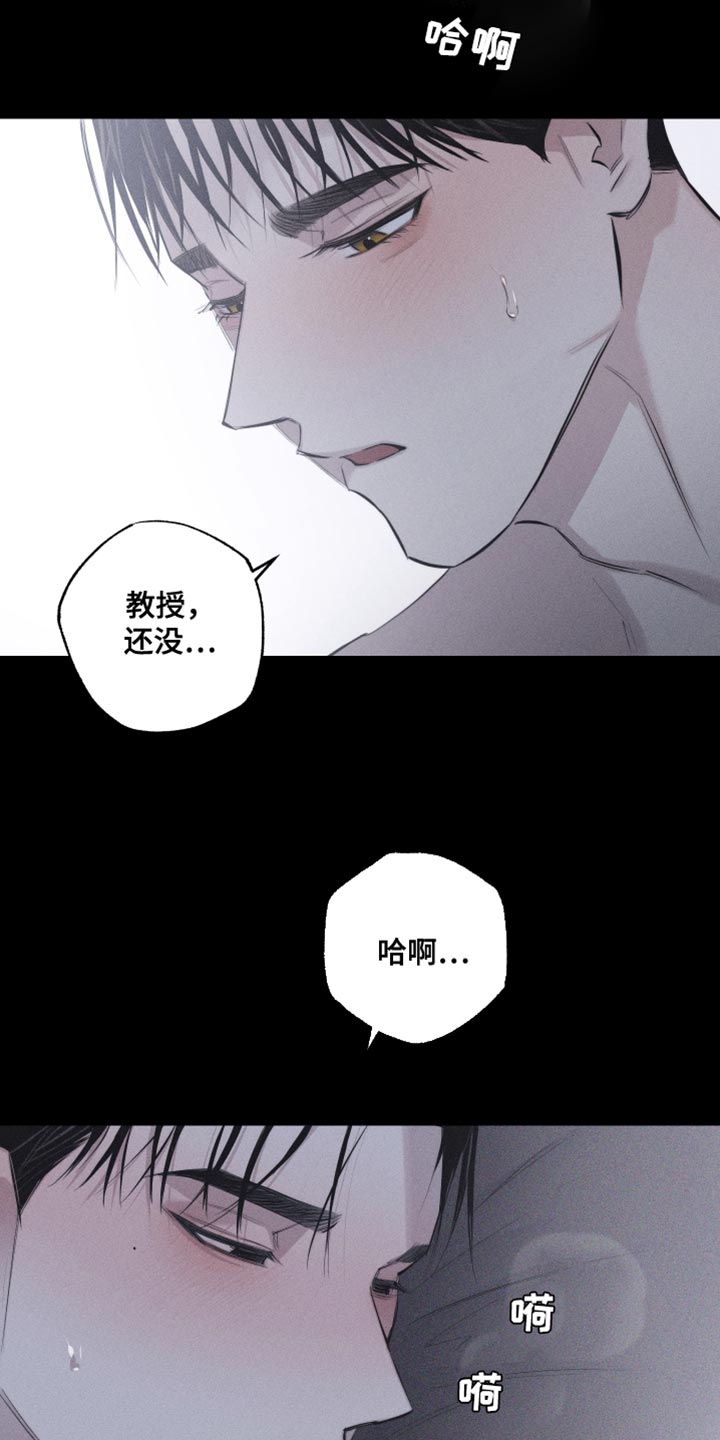 瓷器收藏快问快答漫画,第17话2图