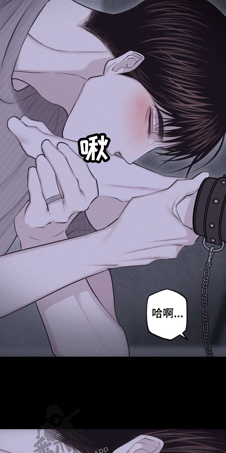 瓷器娃娃图片大全漫画,第95话1图